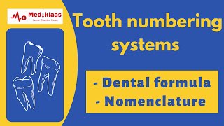 Tooth numbering systems in 10 mins [upl. by Ybot589]