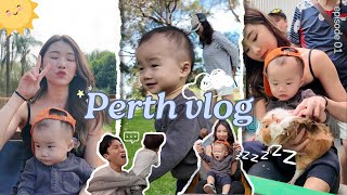 VLOG Perth Part 1🐨🇦🇺  MONGABONG [upl. by Indnahc]