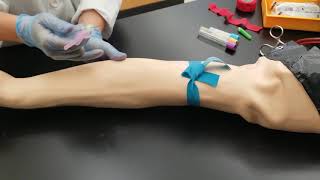 What To Expect from Phlebotomy Training [upl. by Kenward]