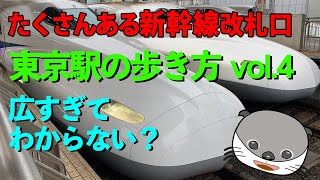 Tokyo Station Guide東京駅乗換え案内 ｜新幹線の乗り換えや、路線について説明しています。新幹線はの利用には、乗り換え口と専用改札口がありますので注意が必要です。 [upl. by Daveen]