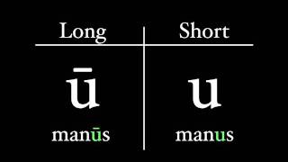 The Latin Alphabet  Vowel Pronunciation [upl. by Vokay]