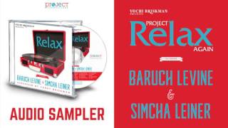 Project Relax Again Featuring Baruch Levine amp Simcha Leiner Audio Sampler [upl. by Roleat]