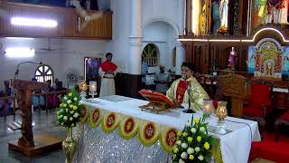 Holy Mass Live Stream [upl. by Ahtnamas]