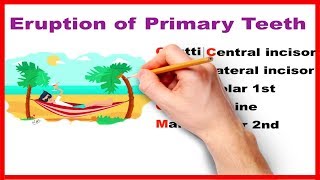 Eruption of Primary teeth  Made easy [upl. by Jerol]