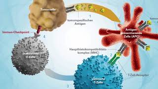 Immuntherapie – Die neusten Entwicklungen  Hirslanden Klinik Aarau [upl. by Nawtna]