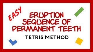 Tooth Eruption Sequence for Permanent Teeth Tetris Method [upl. by Donella]