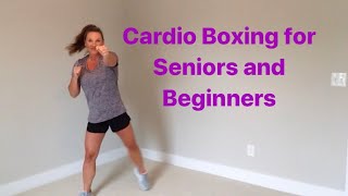 40 minute CARDIO BOXING AEROBICS for seniors and beginners [upl. by Moreland]