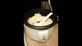 Proctor Silex 8 Cup Rice Cooker Review [upl. by Ahen222]