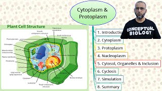 Cytoplasm and Protoplasm with Dr Sohail Jamil Qureshi  MDCAT Biology [upl. by Sabir]