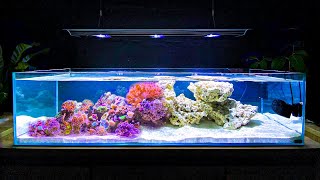 How I Built My Shallow Reef Tank How To Make a Reef Tank [upl. by Ajim]