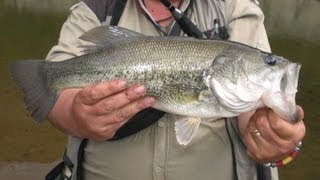 CONSEJOS PARA PESCAR BLACK BASS DESDE ORILLA [upl. by Else]