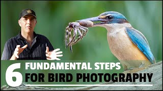 SIX FUNDAMENTAL steps to take HIGH QUALITY bird photographs [upl. by Yrdua741]