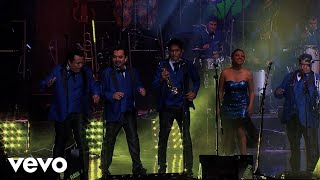 Los Ángeles Azules  Cumbia Coqueta Live [upl. by Reppiks184]