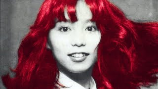 Plastic Fun Paramore X Mariya Takeuchi  Mashup [upl. by Ahseyk176]