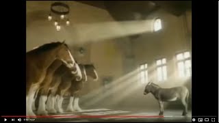 Budweiser Clydesdales Commercial Compilation [upl. by Rhianna]