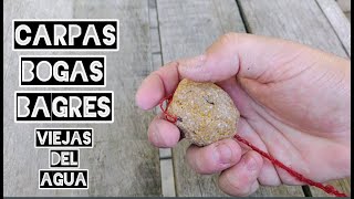 Masa para pescar Carpas Bogas y Bagres Fácil y Económica [upl. by Ahsikram815]