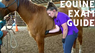 Equine Physical Exam for the Veterinary Technician [upl. by Thapa]