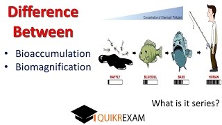 What is the Difference Between Bioaccumulation and Biomagnification [upl. by Kimberlee285]