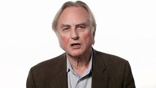 Richard Dawkins Faith  Big Think [upl. by Belanger]