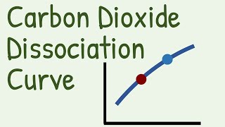 Carbon Dioxide Dissociation Curve [upl. by Lisa]