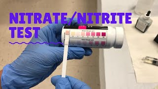 NitrateNitrite Test [upl. by Aneez431]