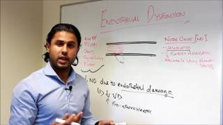 Part II  Nitric Oxide and Shear Stress [upl. by Ayanet]