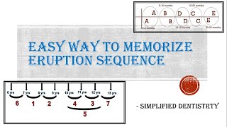 Eruption Sequence of Primary and Permanent Teeth [upl. by Laehcim]