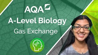 AQA A Level Biology Gas Exchange [upl. by Araz]