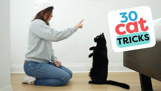 30 Tricks To Teach Your Cat [upl. by Hairaza757]