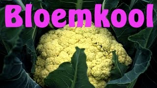 Bloemkool kweken [upl. by Sliwa]