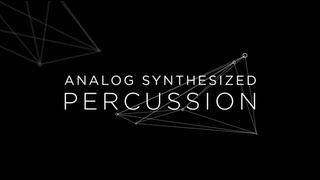 ANALOG SYNTHESIZED PERCUSSION [upl. by Ainet998]