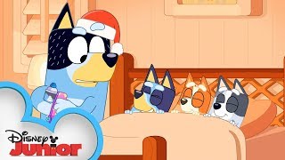 Merry Christmas from Bluey  Bluey  Disney Junior [upl. by Eiahpets321]