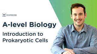 Introduction to Prokaryotic Cells  Alevel Biology  OCR AQA Edexcel [upl. by Waneta]