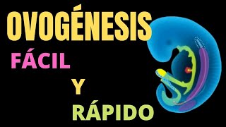 OVOGÉNESIS Fácil y rápido [upl. by Enaled]