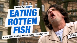 Eating Rotten Fish  Hamish amp Andy [upl. by Hardner723]