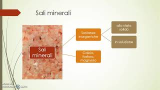 Nutrienti e classificazione degli alimenti [upl. by Menashem844]