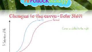 Haemoglobin amp Oxygen Dissociation Curves [upl. by Sherborne]