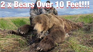 S20Ep6 SelfGuided 2 Monster Alaskan Brown Bears Over 10 Feet [upl. by Juster597]