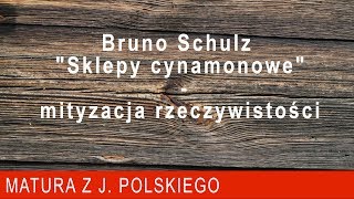 135 Bruno Schulz quotSklepy cynamonowequot  mityzacja rzeczywistości [upl. by Garibald]