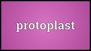 Protoplast Meaning [upl. by Ayaladnot794]