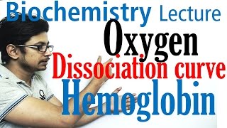 Oxygen hemoglobin dissociation curve explained [upl. by Nylrebmik518]