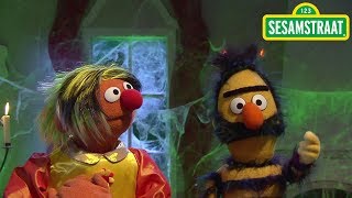 Het mooie meisje en het beest  Bert amp Ernie  Sesamstraat [upl. by Cohlier]