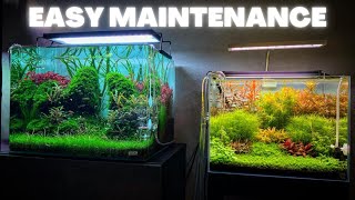 AQUARIUM MAINTENANCE FOR BEGINNERS  QUICK AND SIMPLE [upl. by Yle16]