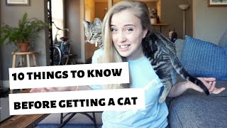 10 things I WISH I knew BEFORE getting a catkitten [upl. by Yetnruoc]