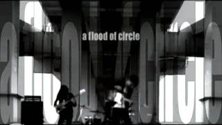 a flood of circle  Human License 【Music Video】 [upl. by Eirrehc]