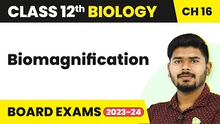 Class 12 Biology Chapter 16  Biomagnification  Environmental Issues 202223 [upl. by Hpejsoj]