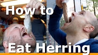 3 BEST ways to Eat Herring in Amsterdam with Woltersworld [upl. by Ormand]