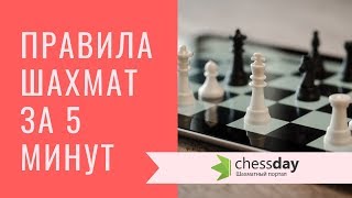 Основные правила шахмат за 5 минут Видео для начинающих [upl. by Sybyl]