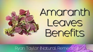 Amaranth Leaves Benefits and Uses [upl. by Frodin]