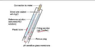 How a pH probe works [upl. by Parthinia225]